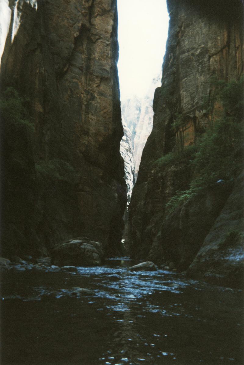 The Virgin River Narrows